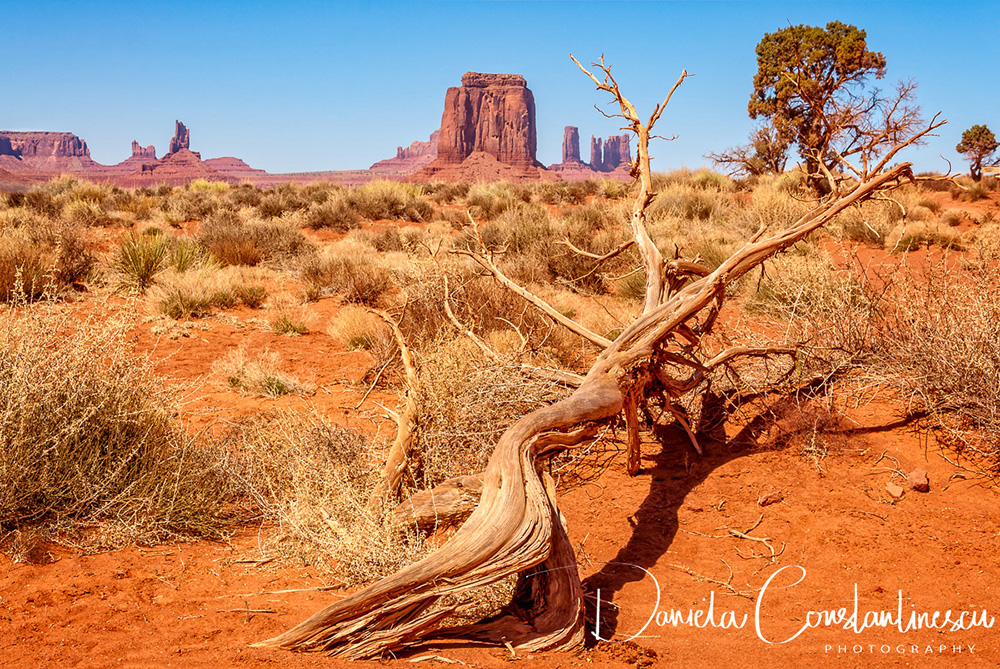 Monument Valley The Way to Artist Point